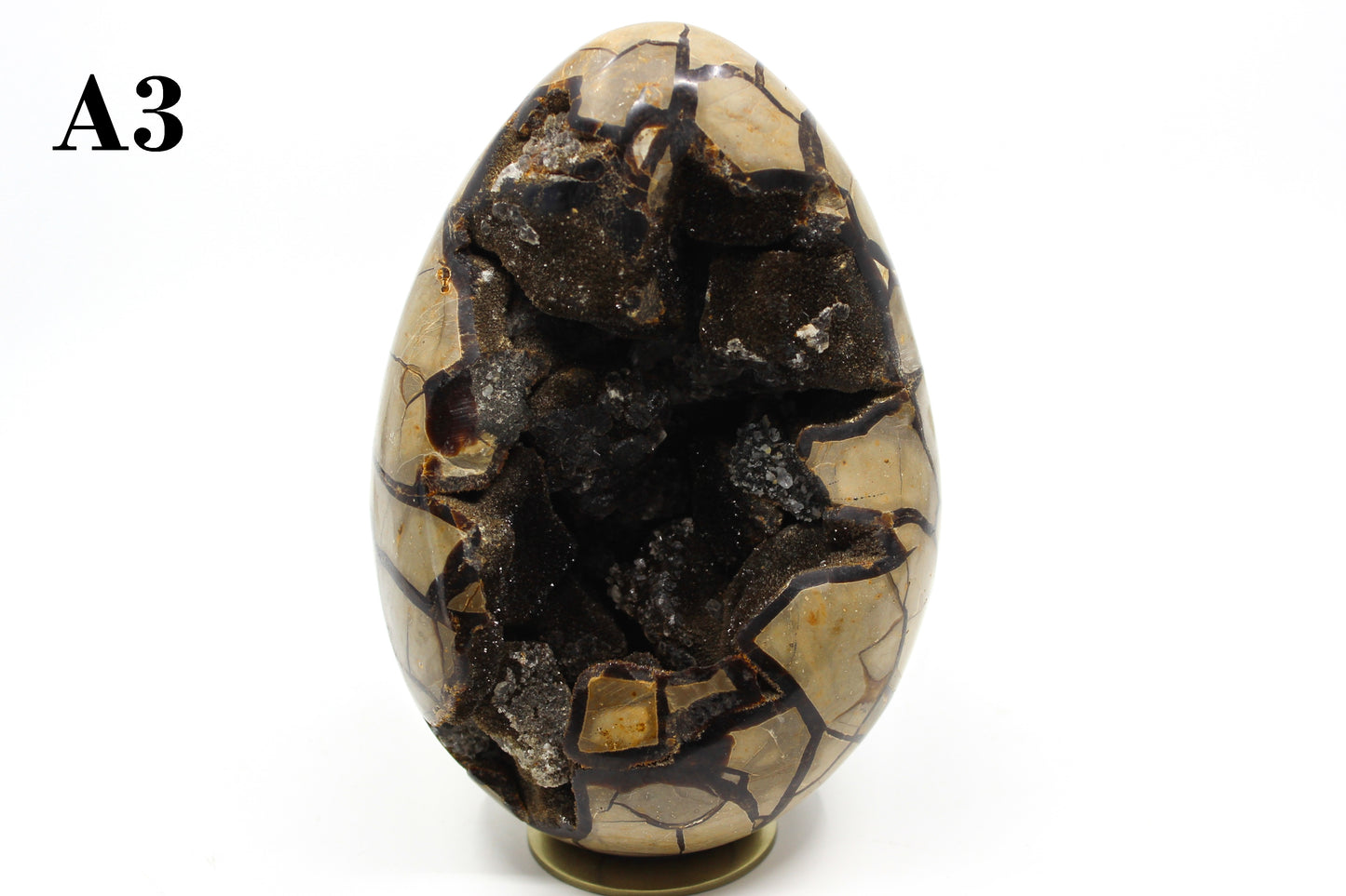 Septarian Dragon Egg 6-7"