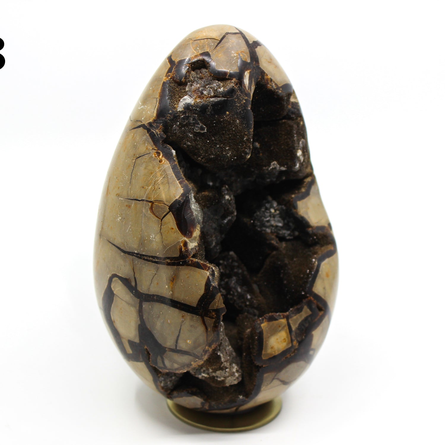 Septarian Dragon Egg 6-7"