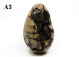 Septarian Dragon Egg 6-7"