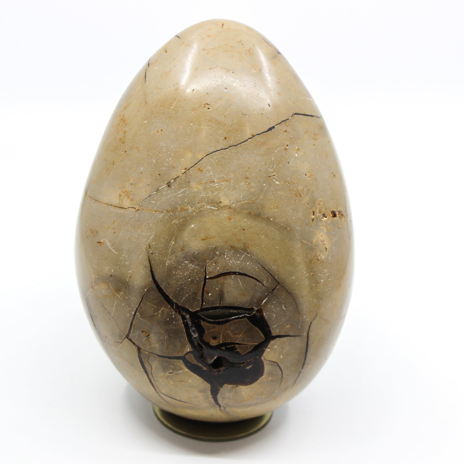 Septarian Dragon Egg 6-7"