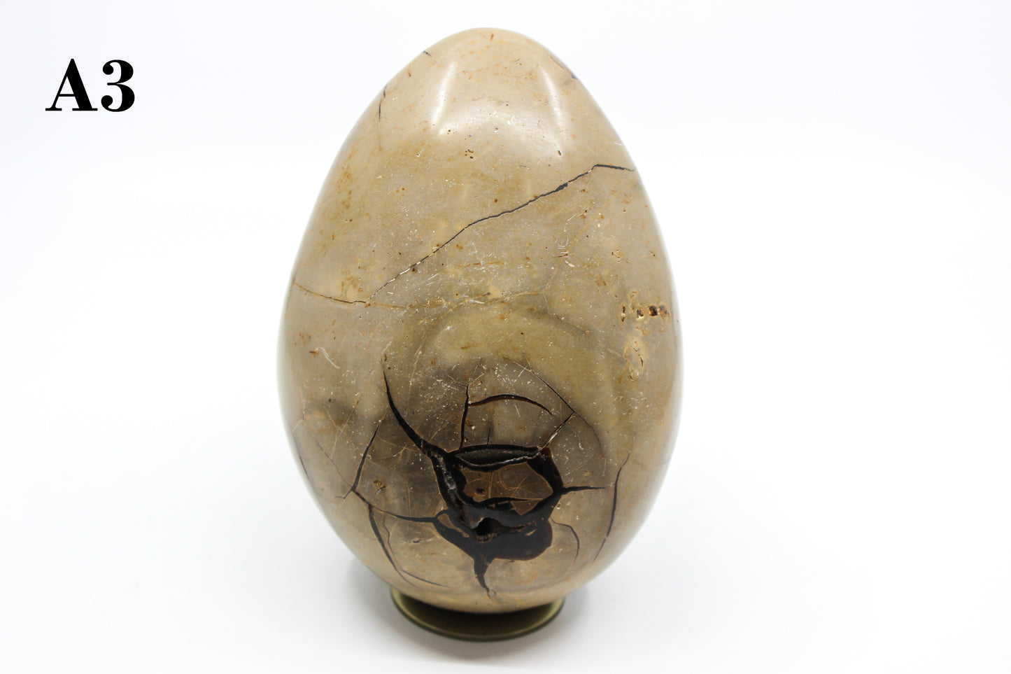 Septarian Dragon Egg 6-7"