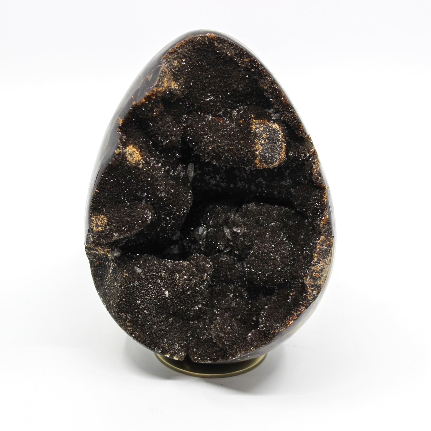 Septarian Dragon Egg 6-7"