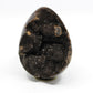 Septarian Dragon Egg 6-7"