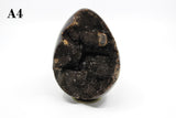 Septarian Dragon Egg 6-7"