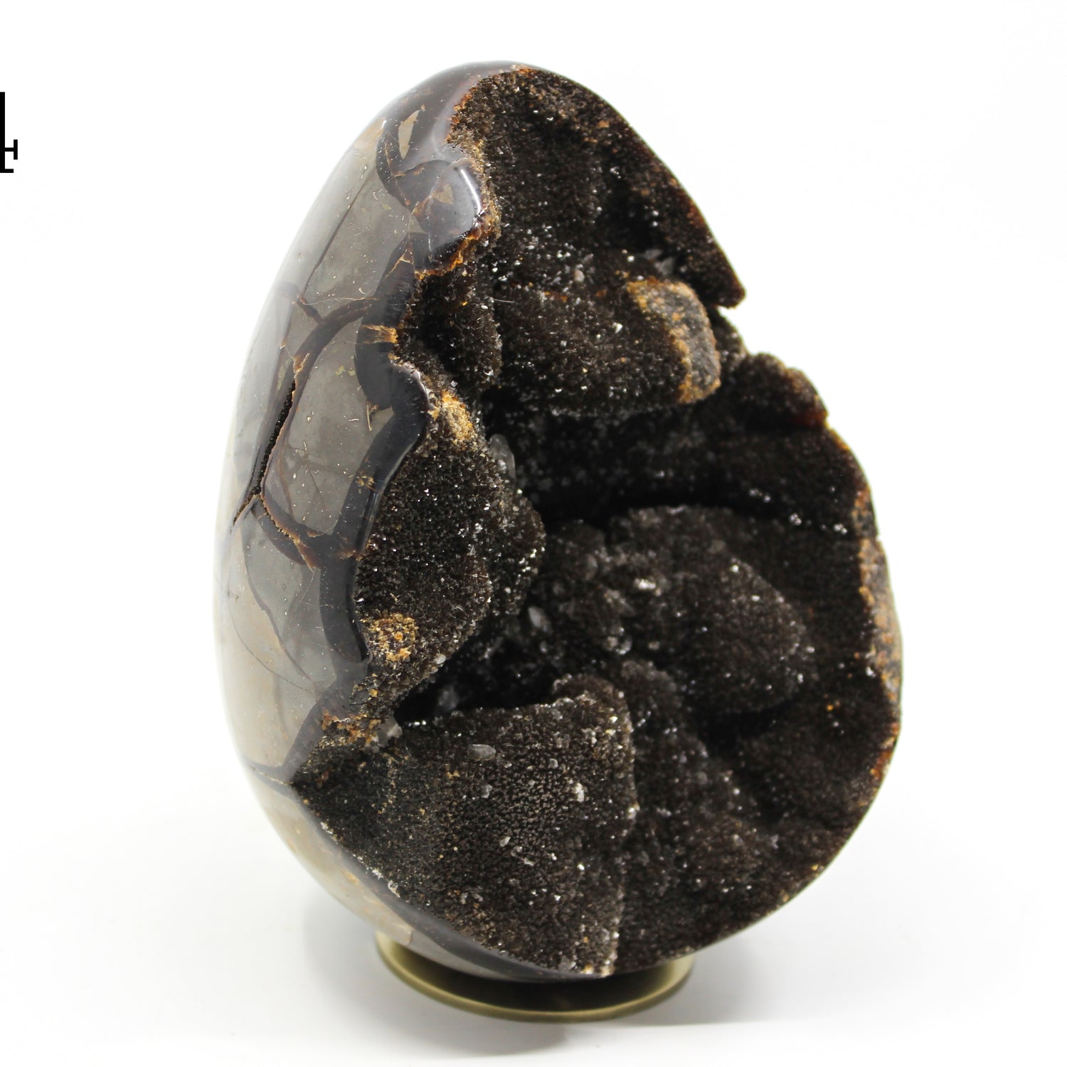Septarian Dragon Egg 6-7"