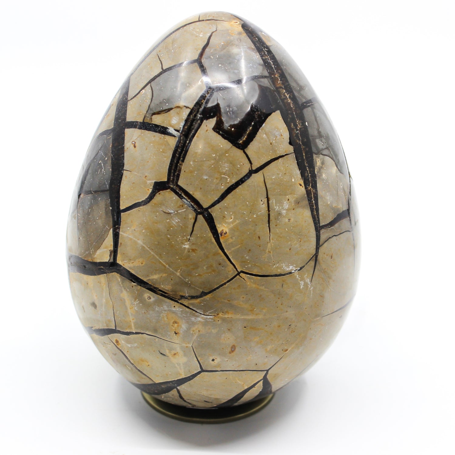 Septarian Dragon Egg 6-7"
