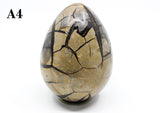 Septarian Dragon Egg 6-7"
