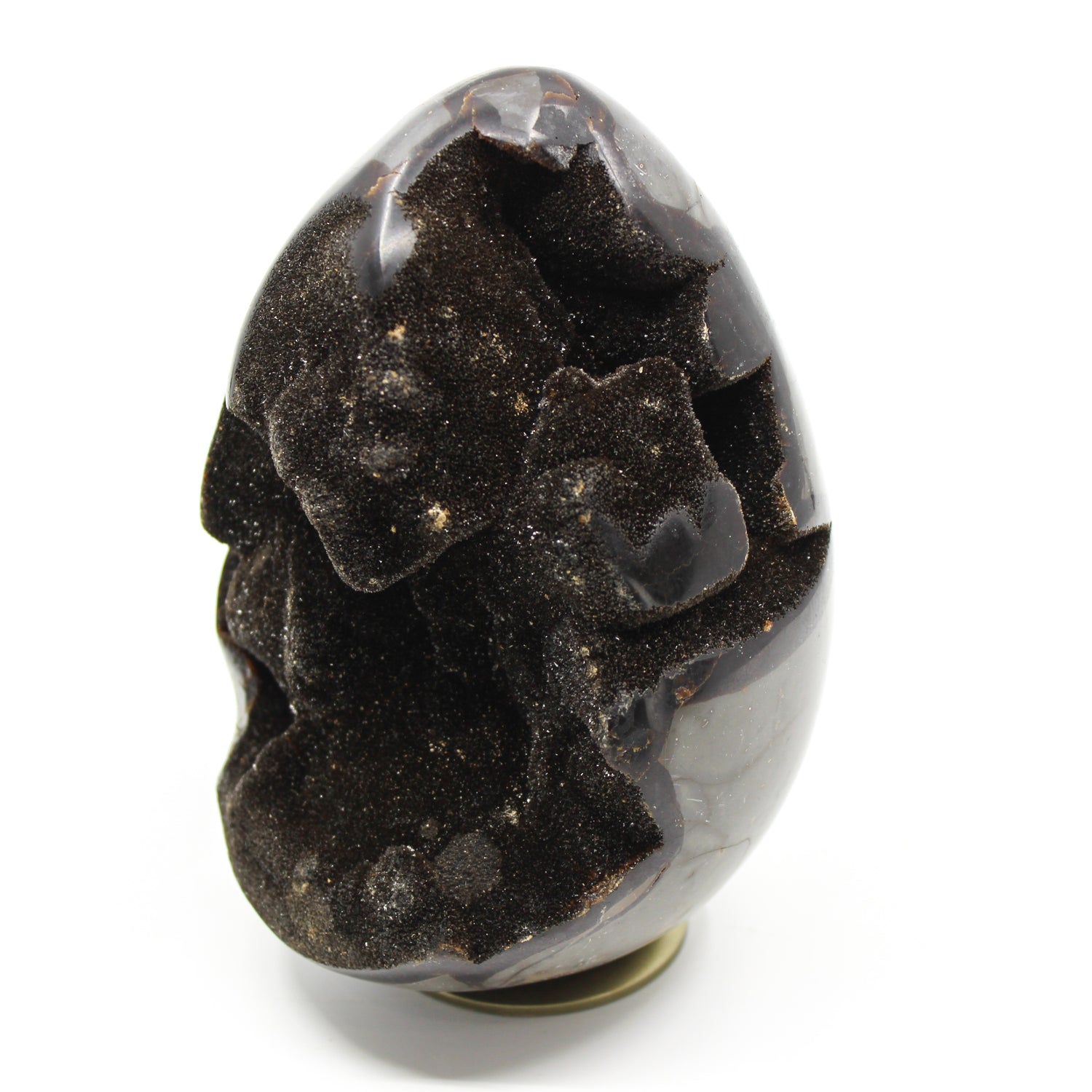 Septarian Dragon Egg 6-7"