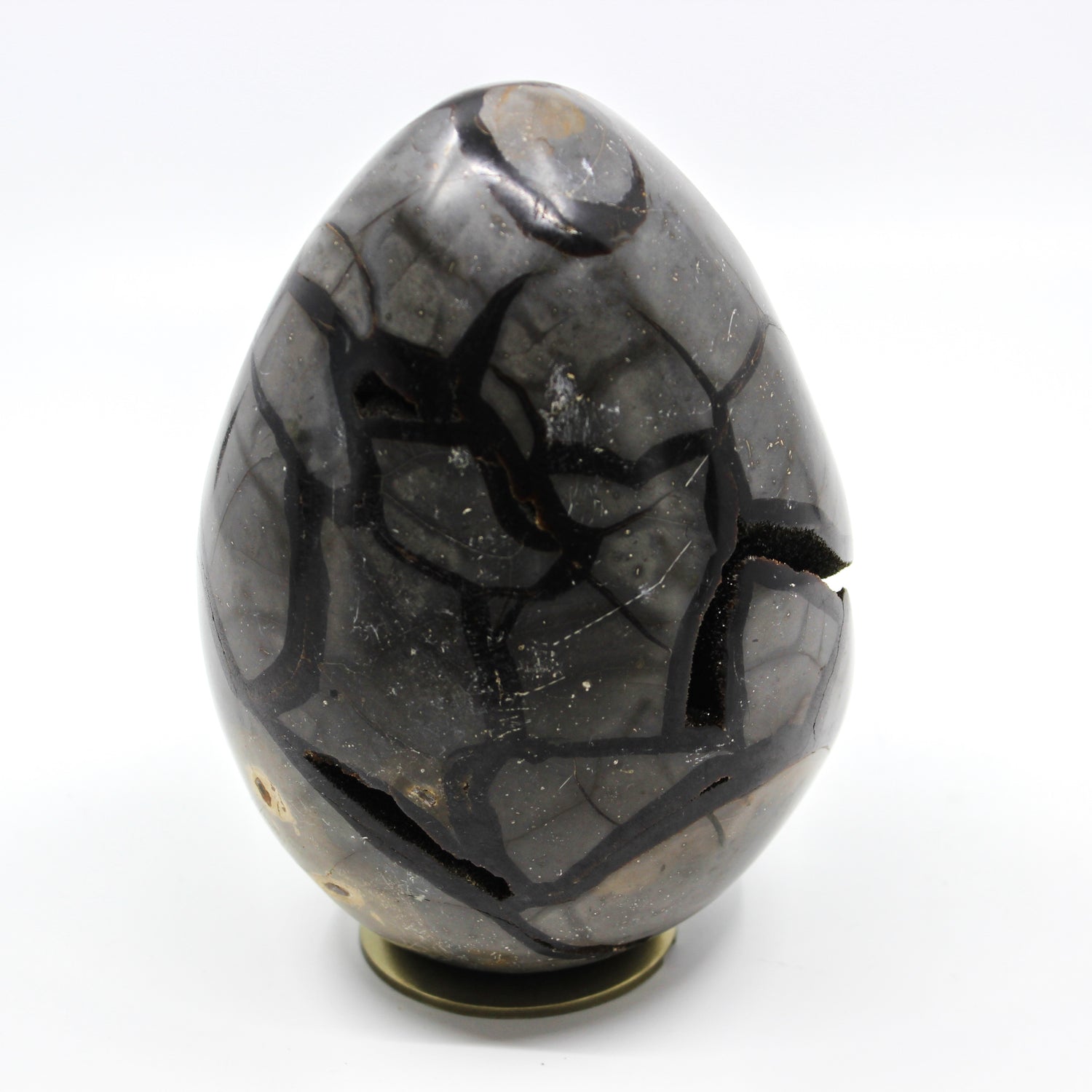 Septarian Dragon Egg 6-7"