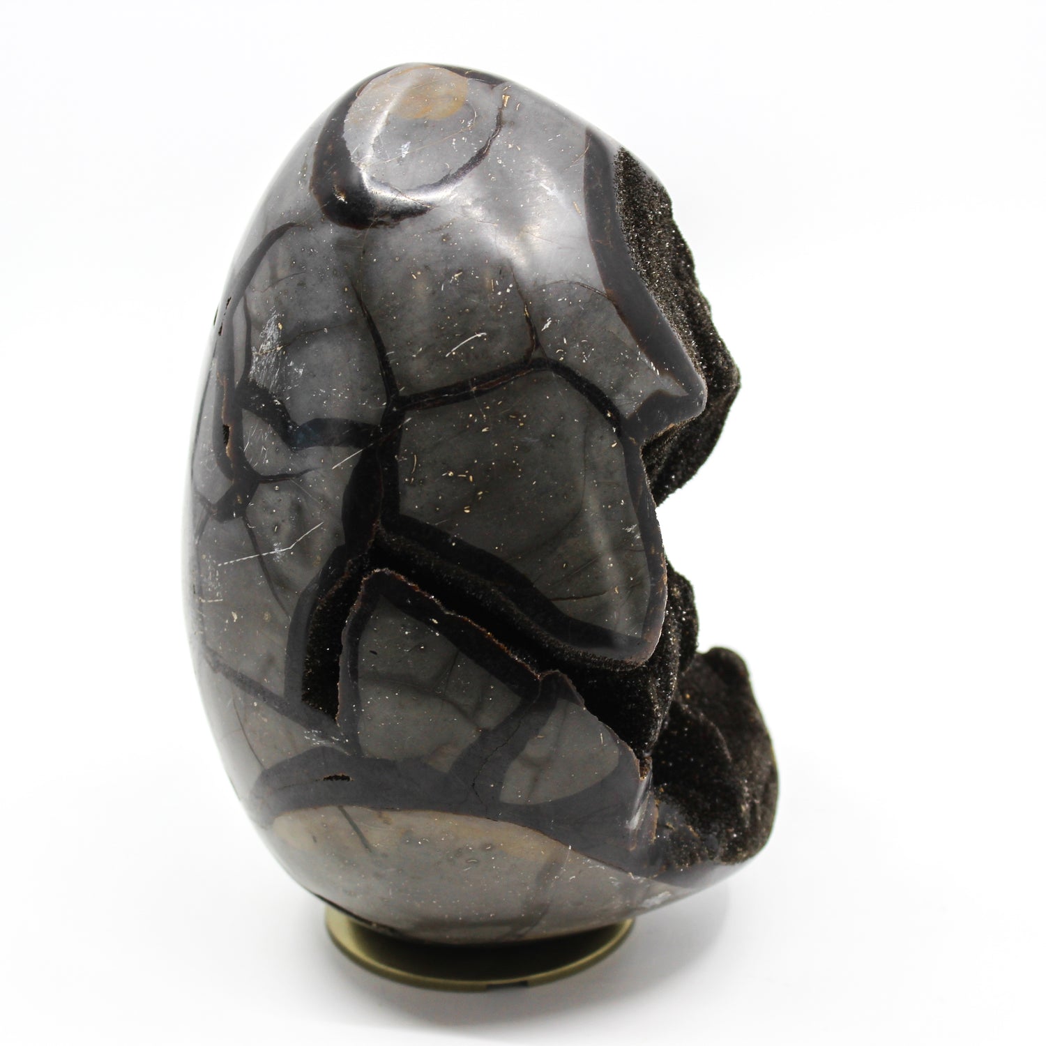 Septarian Dragon Egg 6-7"
