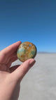 Madagascan Agate Palm Stone