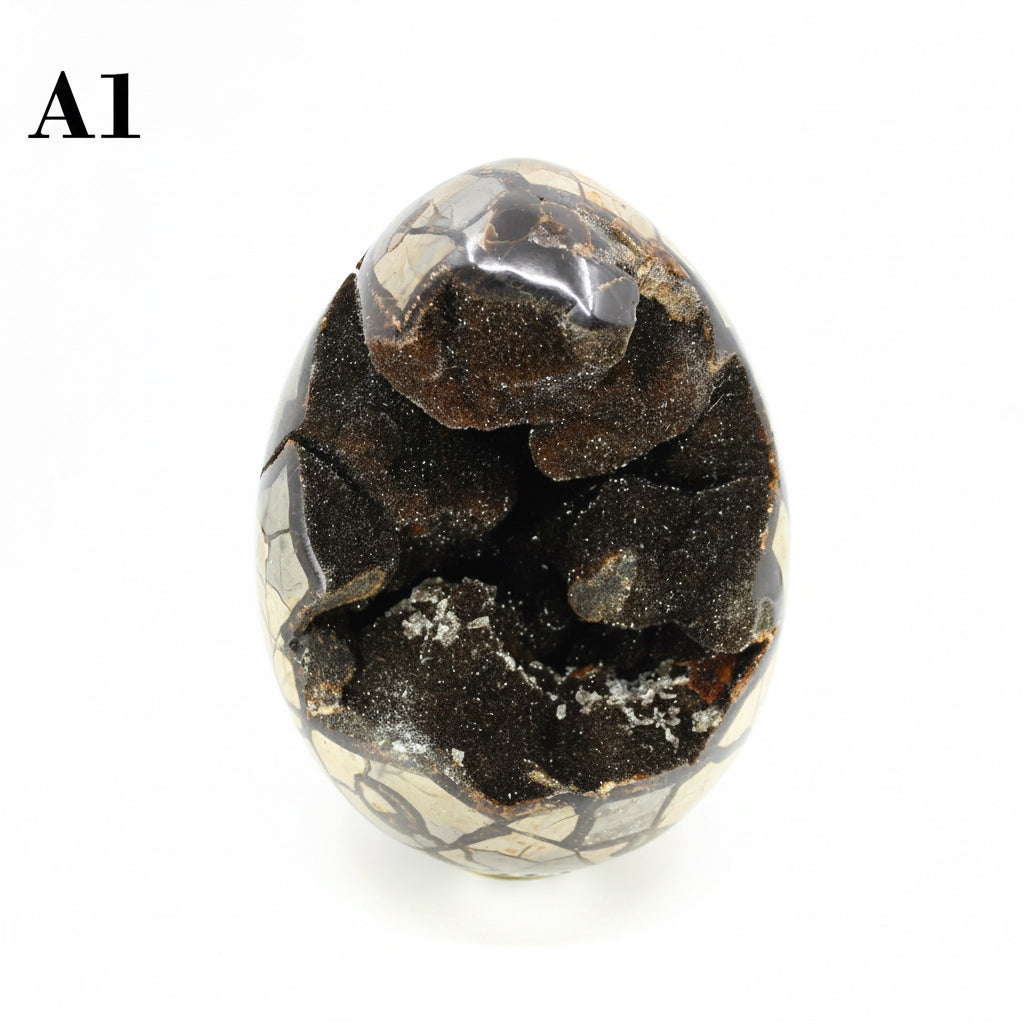 Septarian Dragon Egg 8-10"