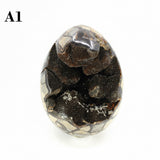 Septarian Dragon Egg 8-10"