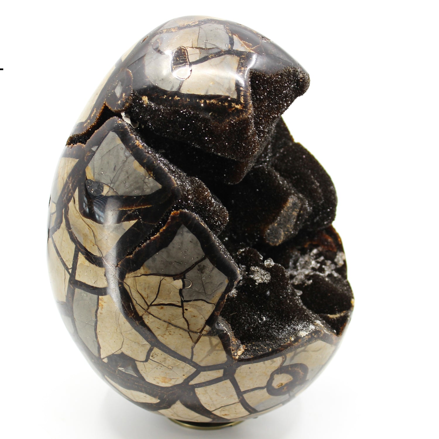 Septarian Dragon Egg 8-10"