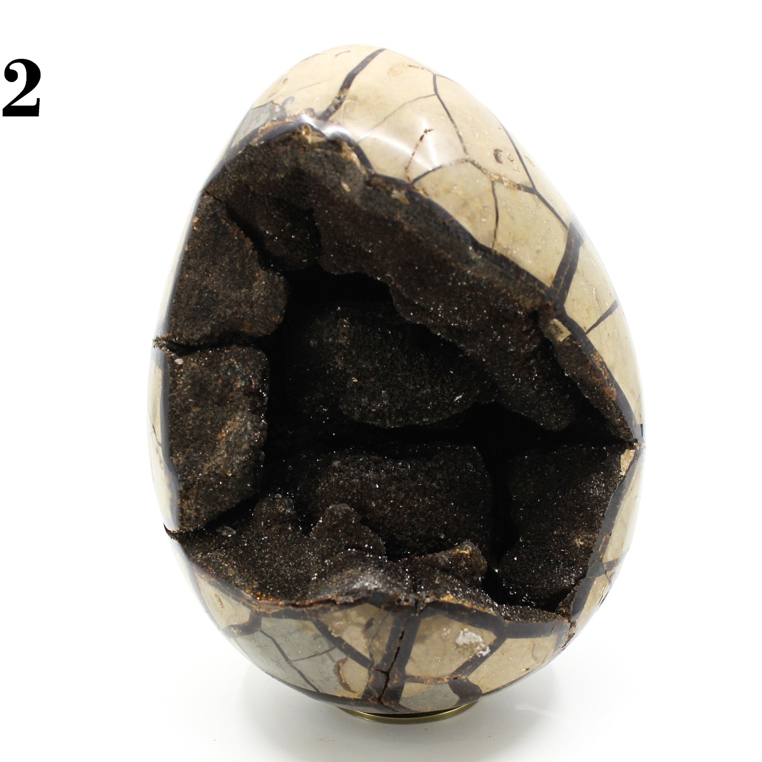 Septarian Dragon Egg 8-10"