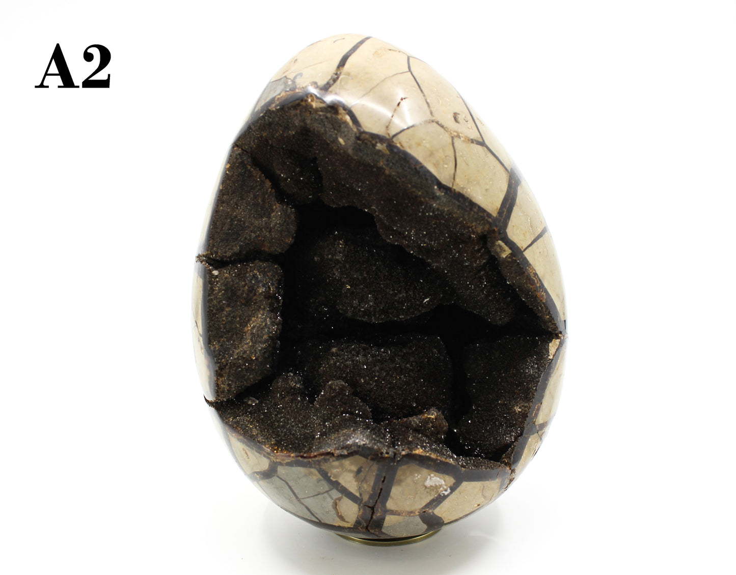 Septarian Dragon Egg 8-10"