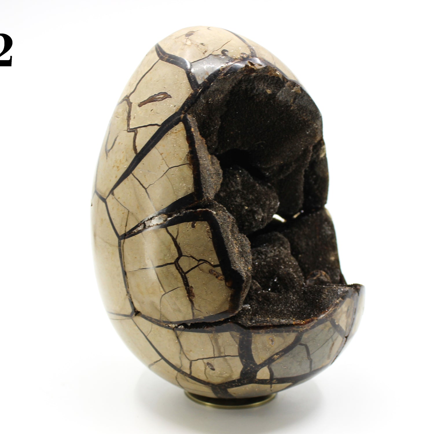 Septarian Dragon Egg 8-10"