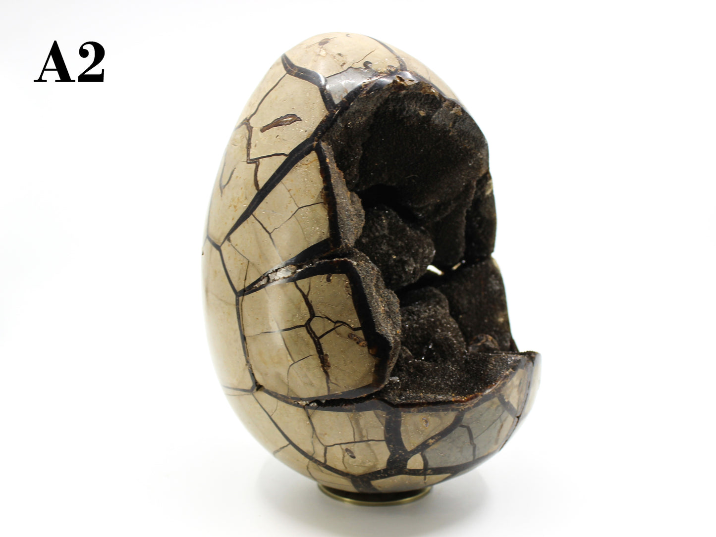 Septarian Dragon Egg 8-10"