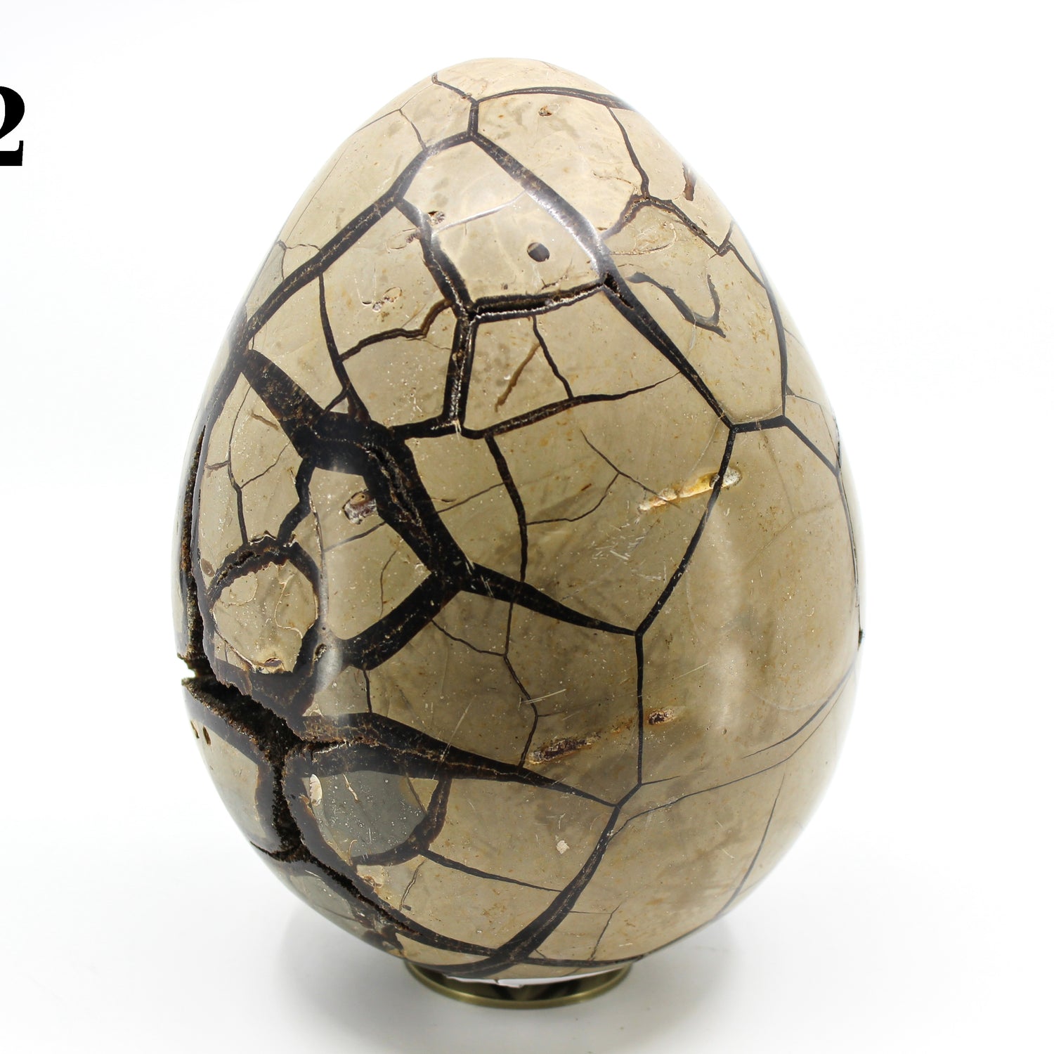 Septarian Dragon Egg 8-10"