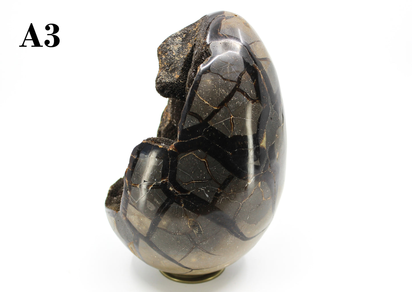 Septarian Dragon Egg 8-10"