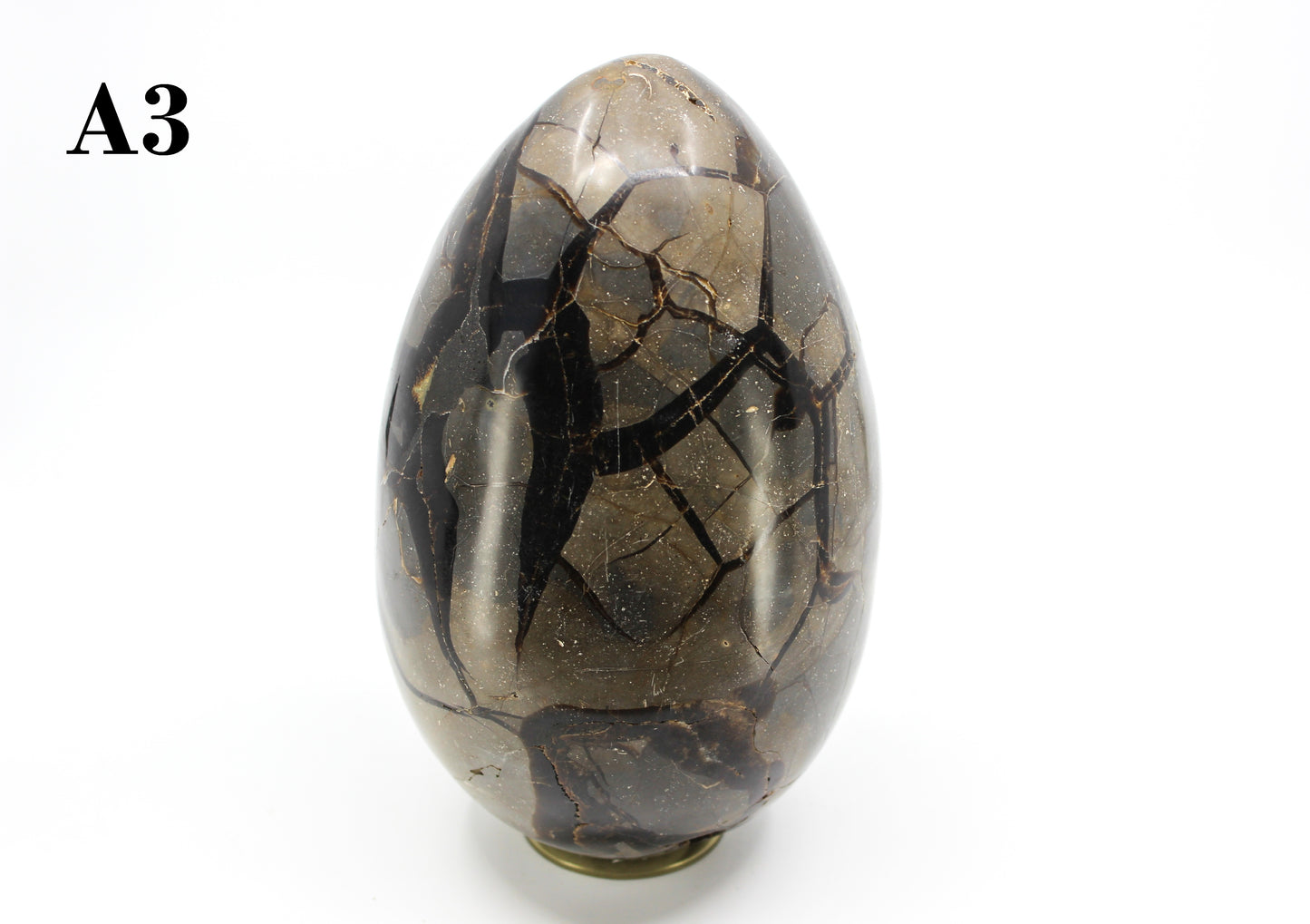 Septarian Dragon Egg 8-10"