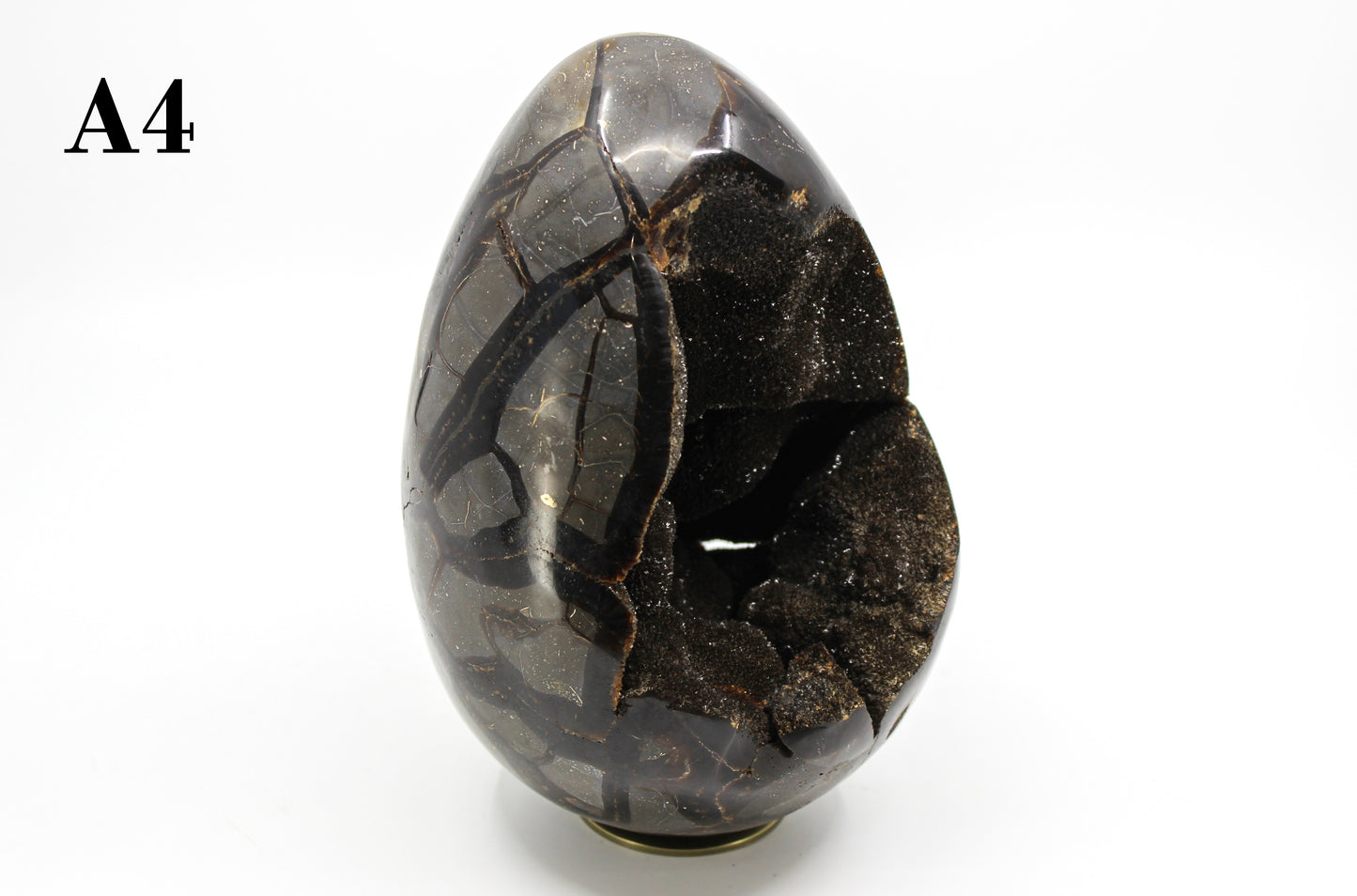 Septarian Dragon Egg 8-10"