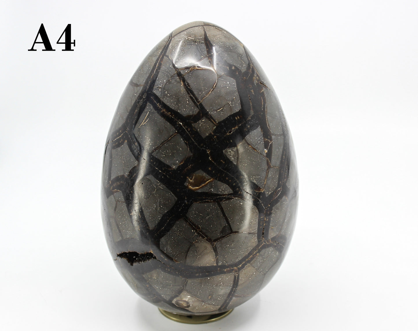 Septarian Dragon Egg 8-10"