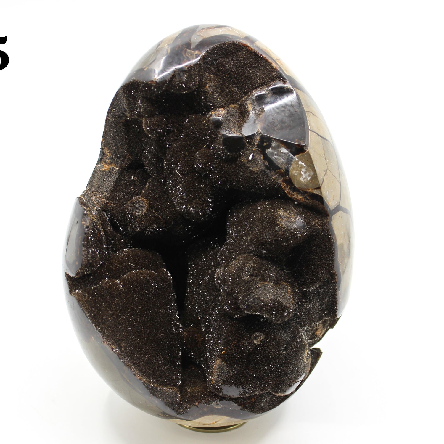 Septarian Dragon Egg 8-10"