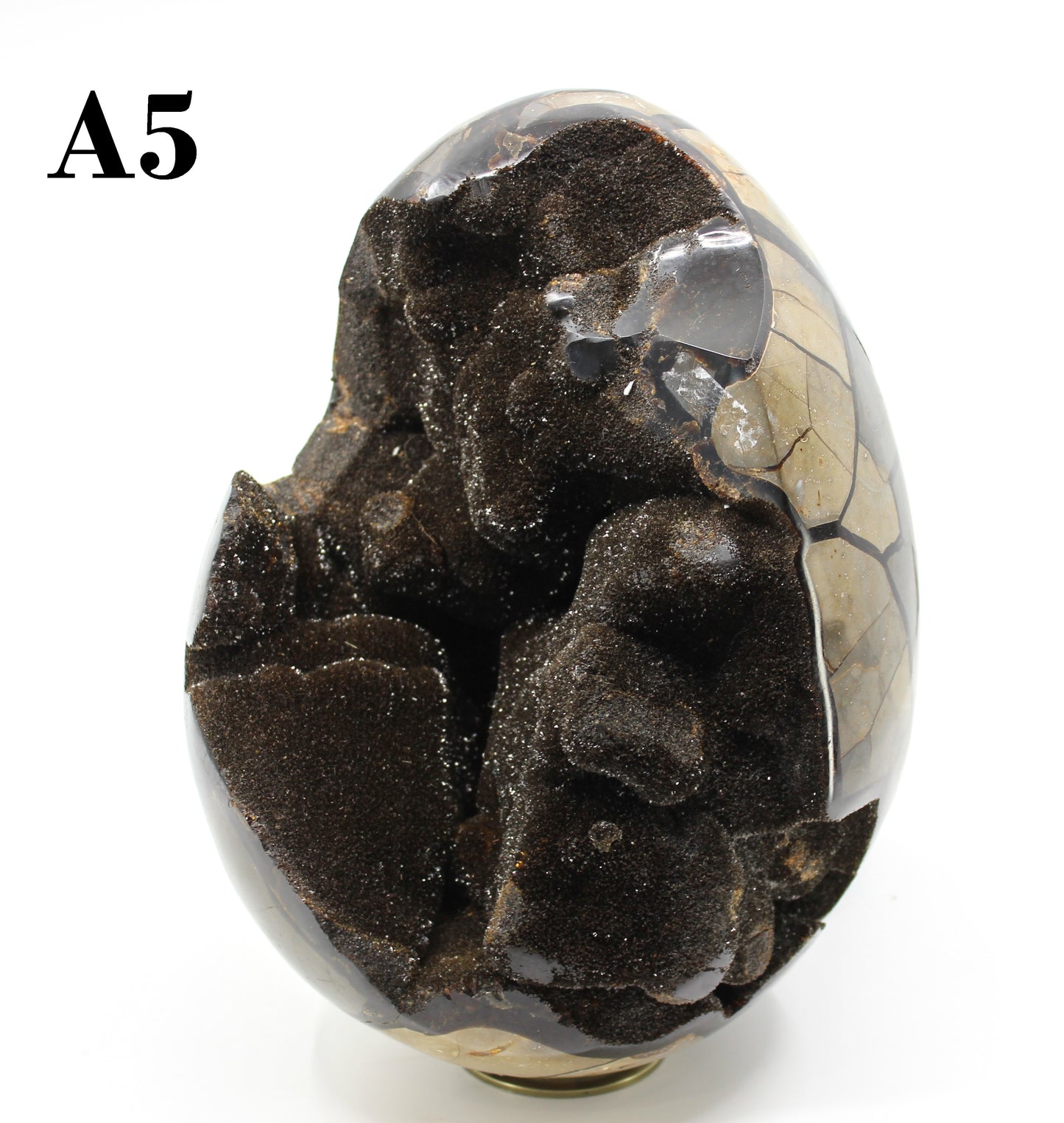 Septarian Dragon Egg 8-10"