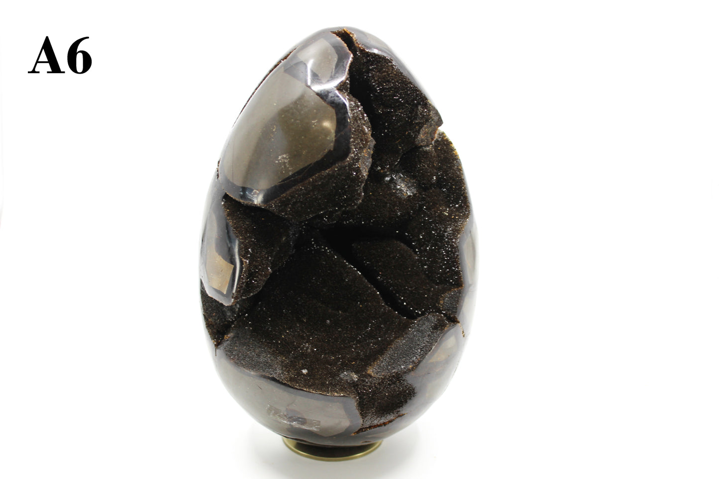 Septarian Dragon Egg 8-10"