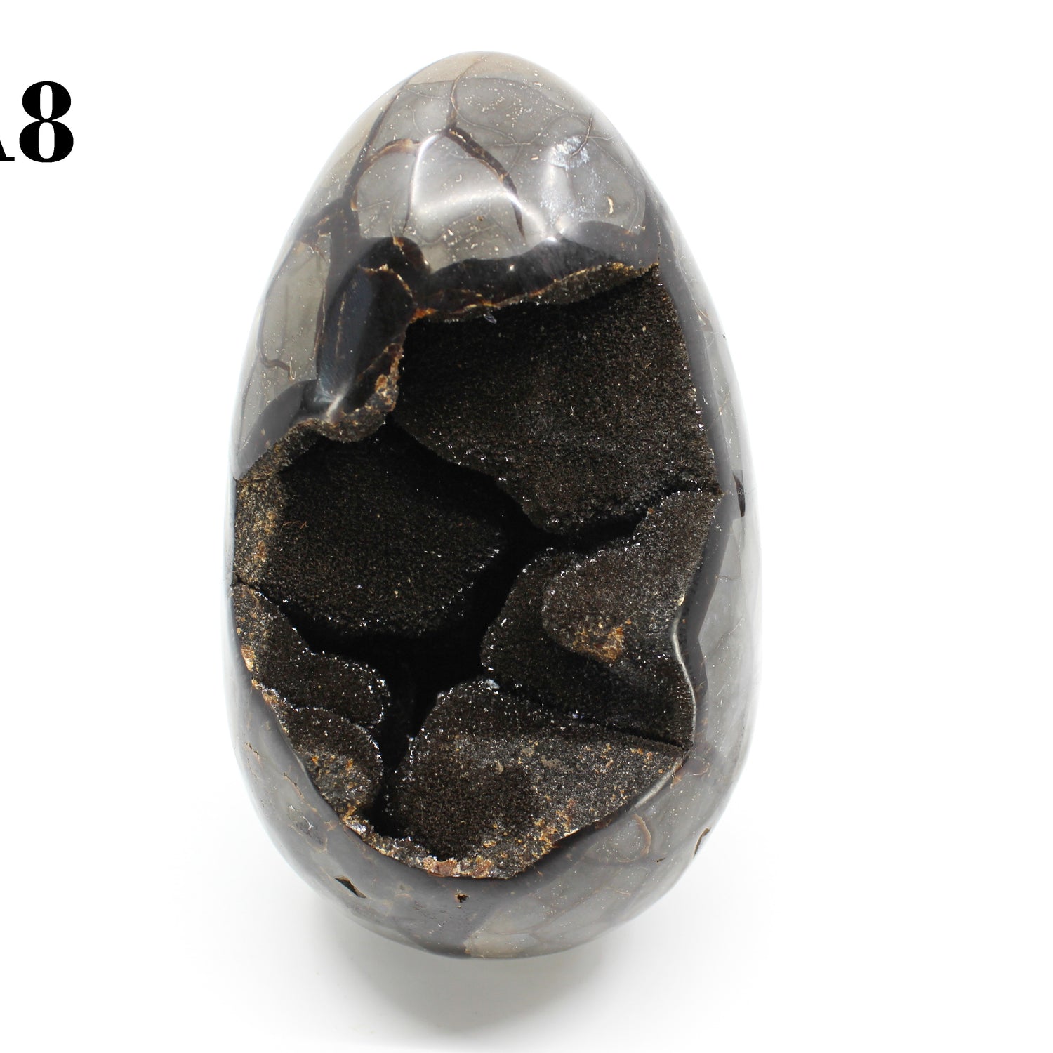 Septarian Dragon Egg 8-10"