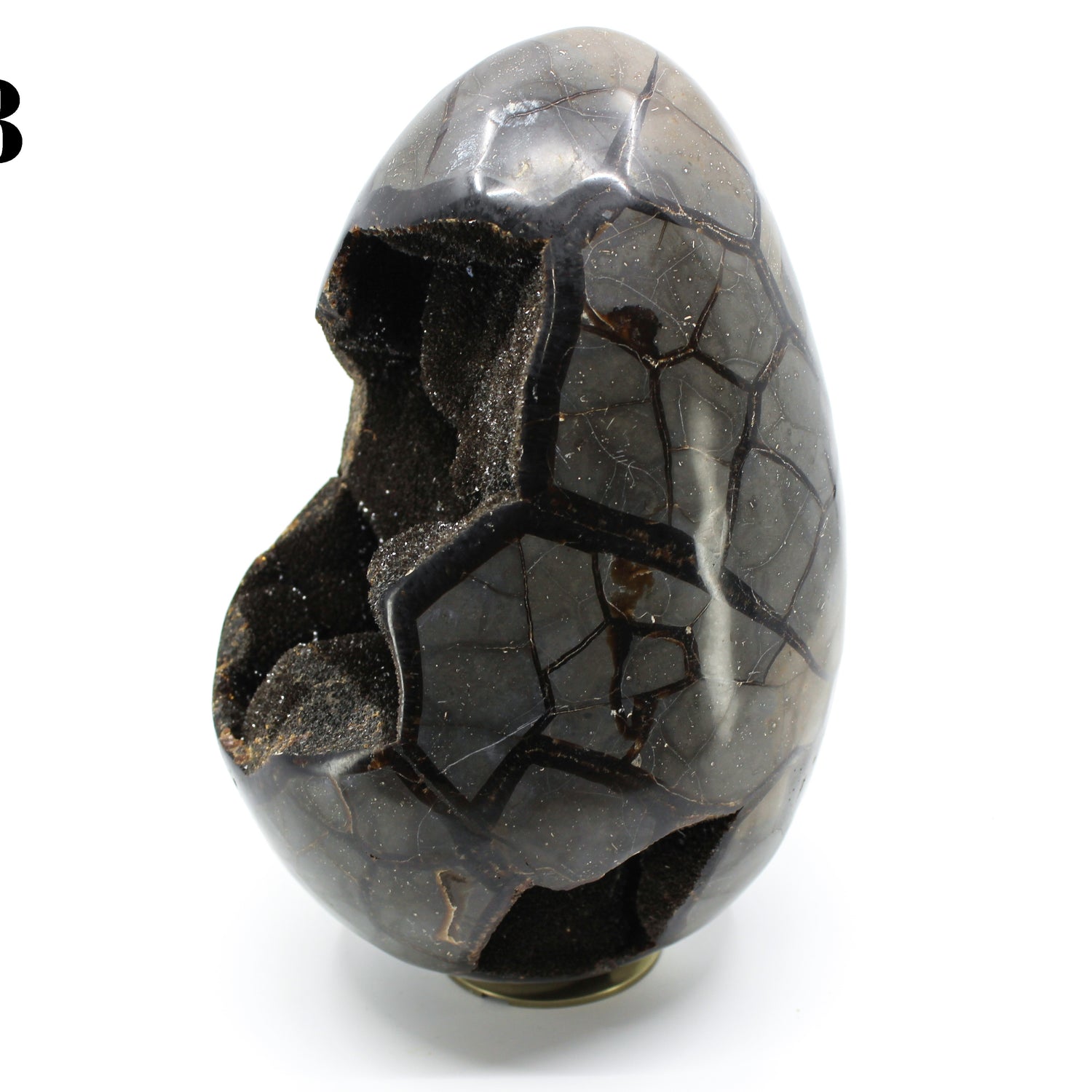 Septarian Dragon Egg 8-10"