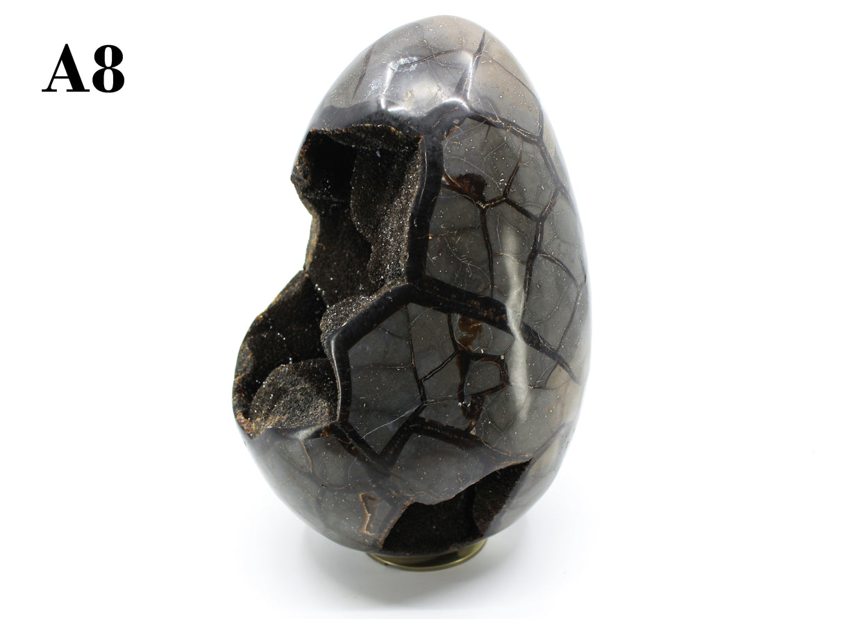 Septarian Dragon Egg 8-10"