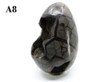 Septarian Dragon Egg 8-10"