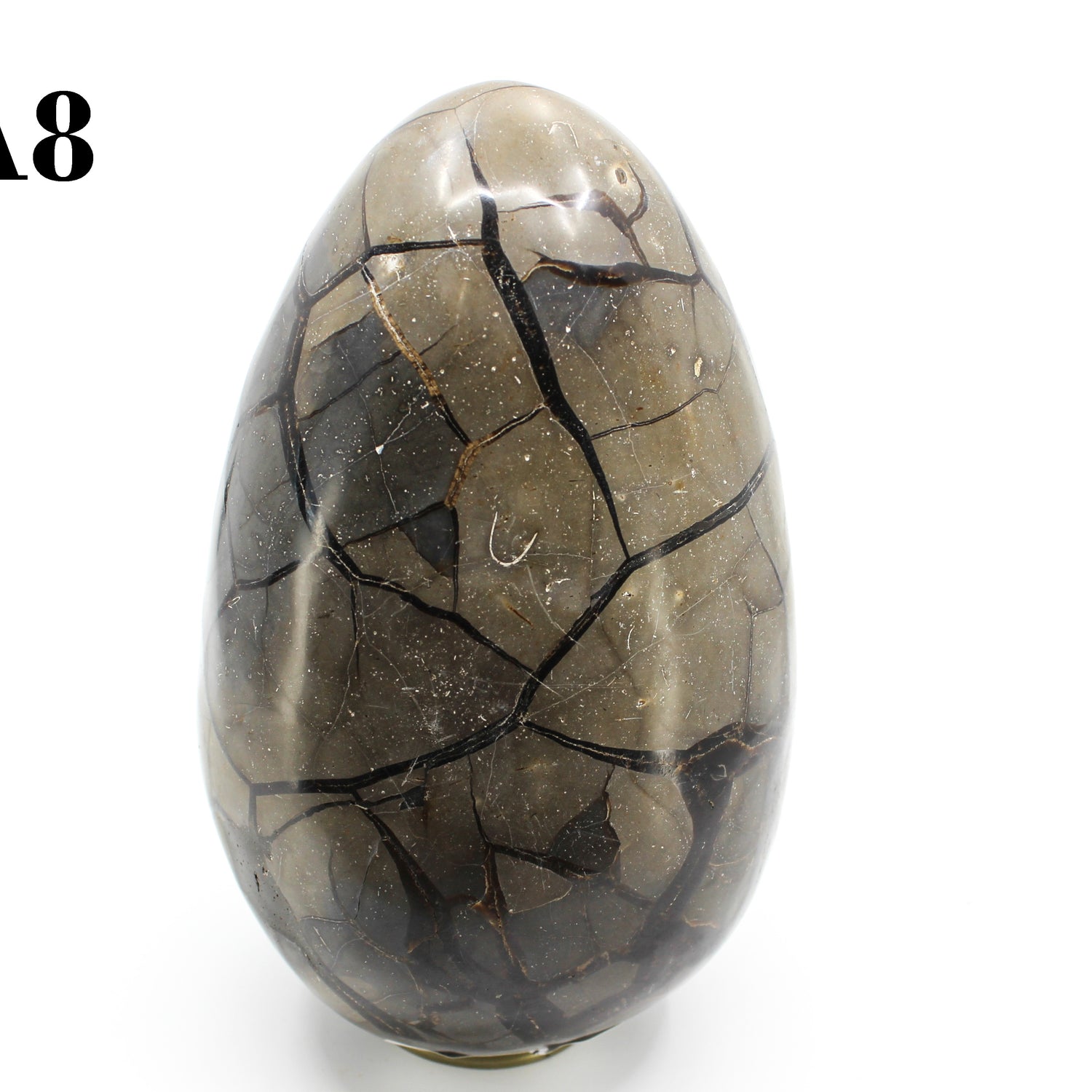 Septarian Dragon Egg 8-10"