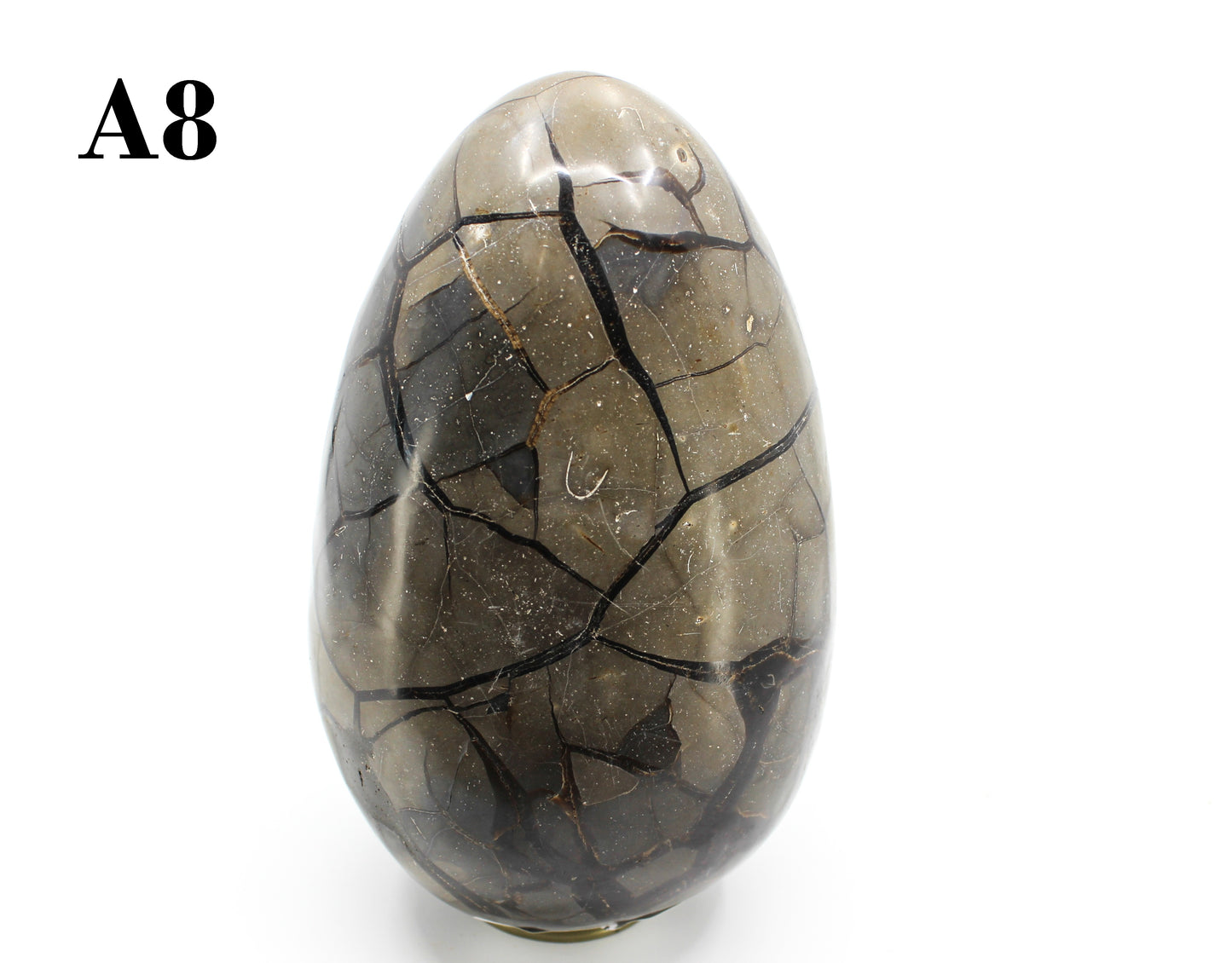 Septarian Dragon Egg 8-10"