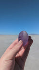 Amethyst Palm Stone
