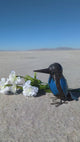 Blue Recycled Metal Kingfisher Bird