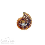 Friendship Fossils