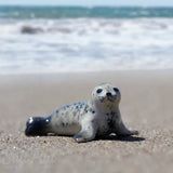 Little Critterz™ - Sealife