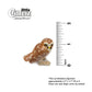 Little Critterz™ - Birds & Butterflies