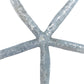 Blue Linkia Star
