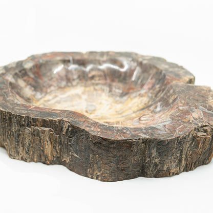 Extra-Large Petrified Wood Bowl