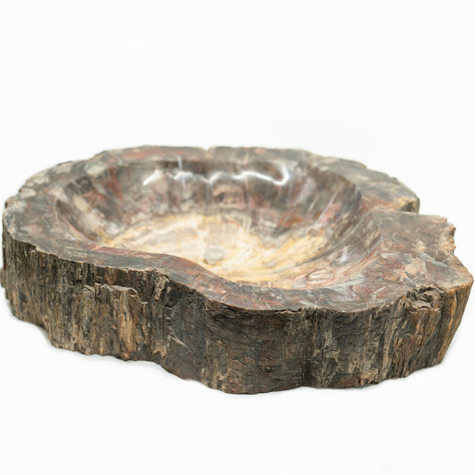 Extra-Large Petrified Wood Bowl
