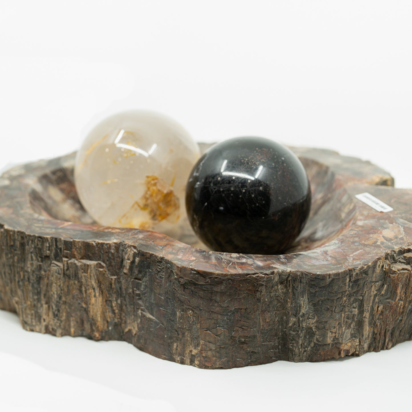 Extra-Large Petrified Wood Bowl