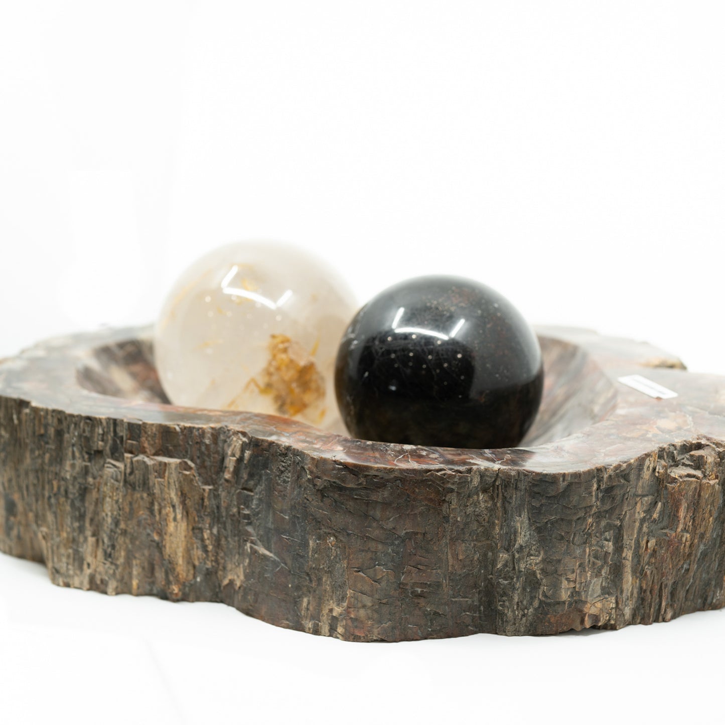 Extra-Large Petrified Wood Bowl