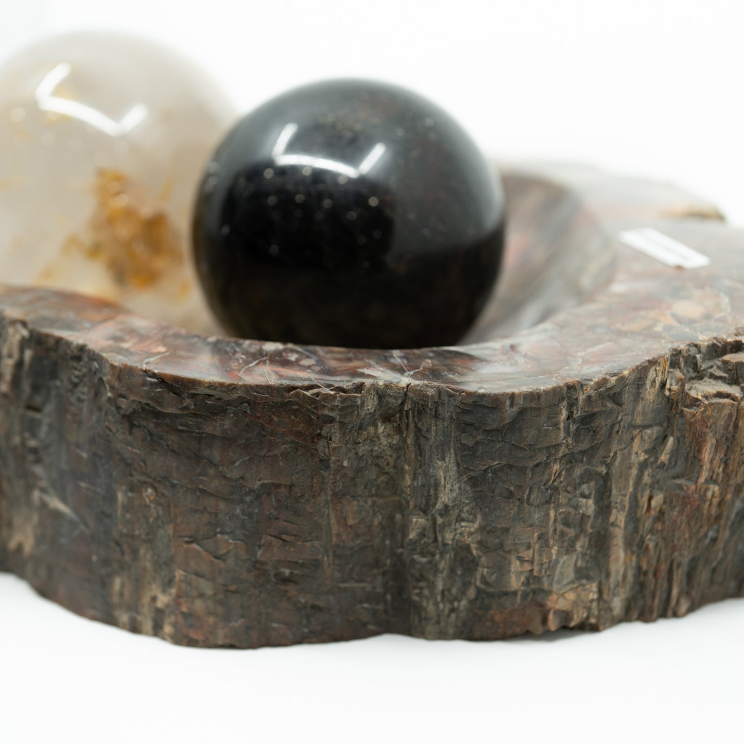 Extra-Large Petrified Wood Bowl