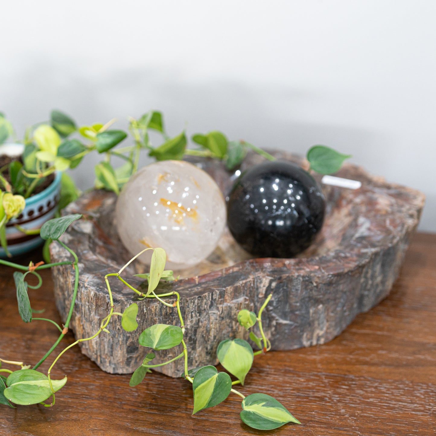 Extra-Large Petrified Wood Bowl