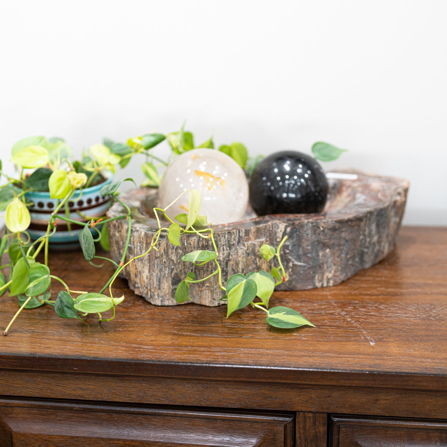 Extra-Large Petrified Wood Bowl