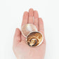 Cat's Eye Rough Shell